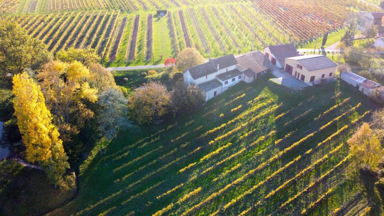 Вілла Les Vignes Pomport Екстер'єр фото