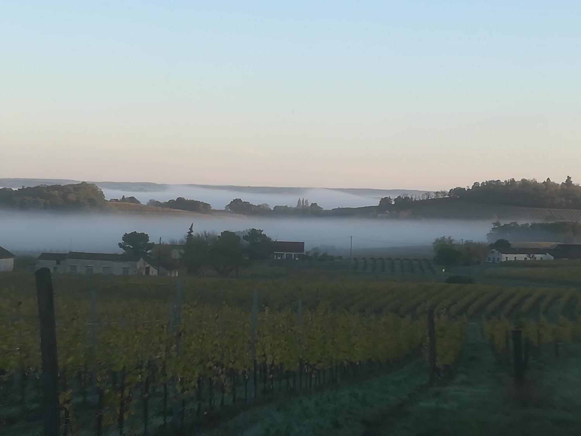 Вілла Les Vignes Pomport Екстер'єр фото