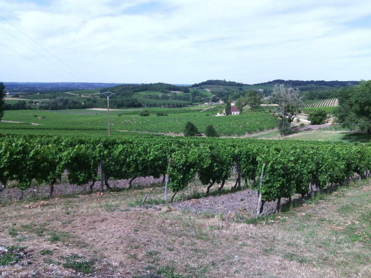 Вілла Les Vignes Pomport Екстер'єр фото